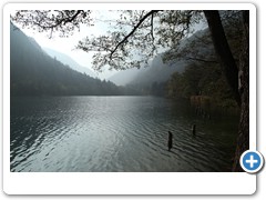 2941_Thumsee