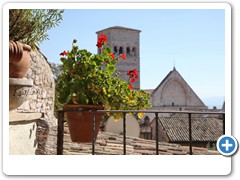 1568_Assisi