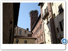 0368_Lucca_Torre_Guinigi