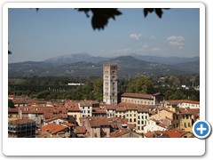 0386_Lucca_Torre_Guinigi