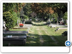 513_Wien_Zentralfriedhof