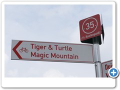 134_Tiger_u_Turtle--2020