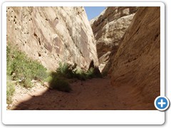 347_Capitol_Reef_NP