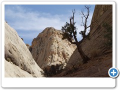 348_Capitol_Reef_NP