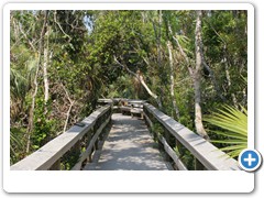 169_Everglades_Anhingia_Trail