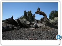 215_Sunset_Crater_Volcano_NM
