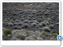 216_Sunset_Crater_Volcano_NM