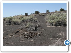 221_Sunset_Crater_Volcano_NM