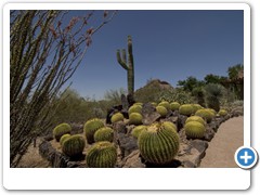 290_Desert_Botanical_Garden_Phoenix