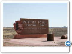 354_Petrified_Forest_NP