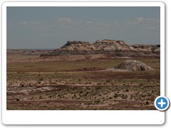 355_Petrified_Forest_NP