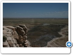 356_Petrified_Forest_NP