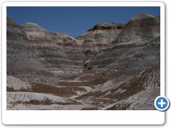 358_Petrified_Forest_NP