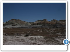359_Petrified_Forest_NP