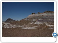 361_Petrified_Forest_NP