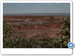 372_Petrified_Forest_NP