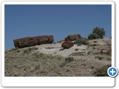 375_Petrified_Forest_NP