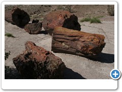 376_Petrified_Forest_NP