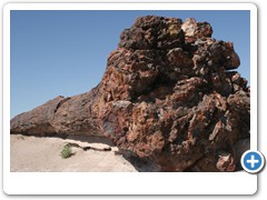 377_Petrified_Forest_NP