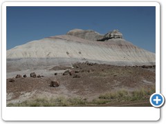 378_Petrified_Forest_NP