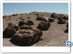 379_Petrified_Forest_NP