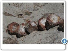 382_Petrified_Forest_NP