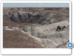383_Petrified_Forest_NP