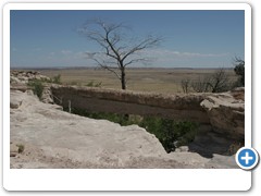 385_Petrified_Forest_NP