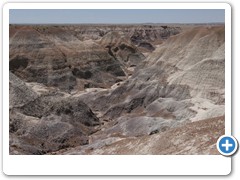 387_Petrified_Forest_NP