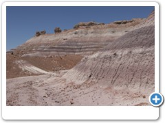 389_Petrified_Forest_NP