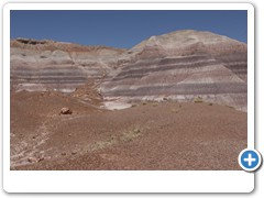 390_Petrified_Forest_NP