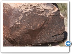 392_Petrified_Forest_NP