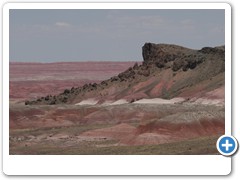 395_Petrified_Forest_NP