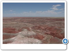 397_Petrified_Forest_NP