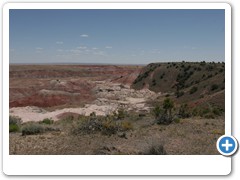 398_Petrified_Forest_NP