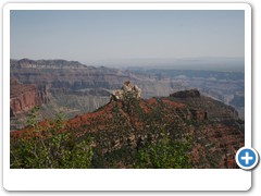 800_Grand_Canyon_Northrim