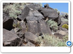 0219_Albuquerque Petroglyph NM