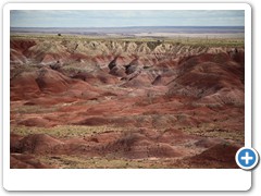 0288_Petrified Forest NP