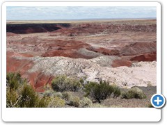 0290_Petrified Forest NP