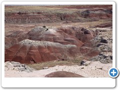 0291_Petrified Forest NP
