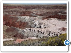 0292_Petrified Forest NP