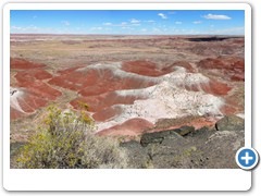 0293_Petrified Forest NP