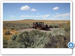 0296_Petrified Forest NP