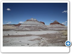 0302_Petrified Forest NP
