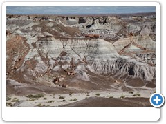 0304_Petrified Forest NP