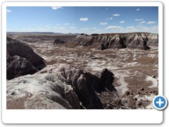 0312_Petrified Forest NP