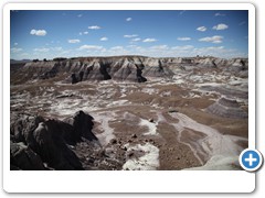 0313_Petrified Forest NP