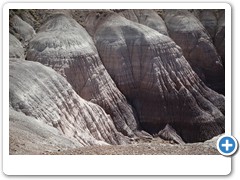 0314_Petrified Forest NP