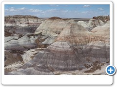 0316_Petrified Forest NP