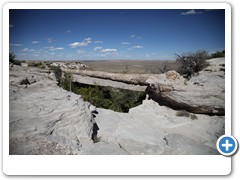 0319_Petrified Forest NP